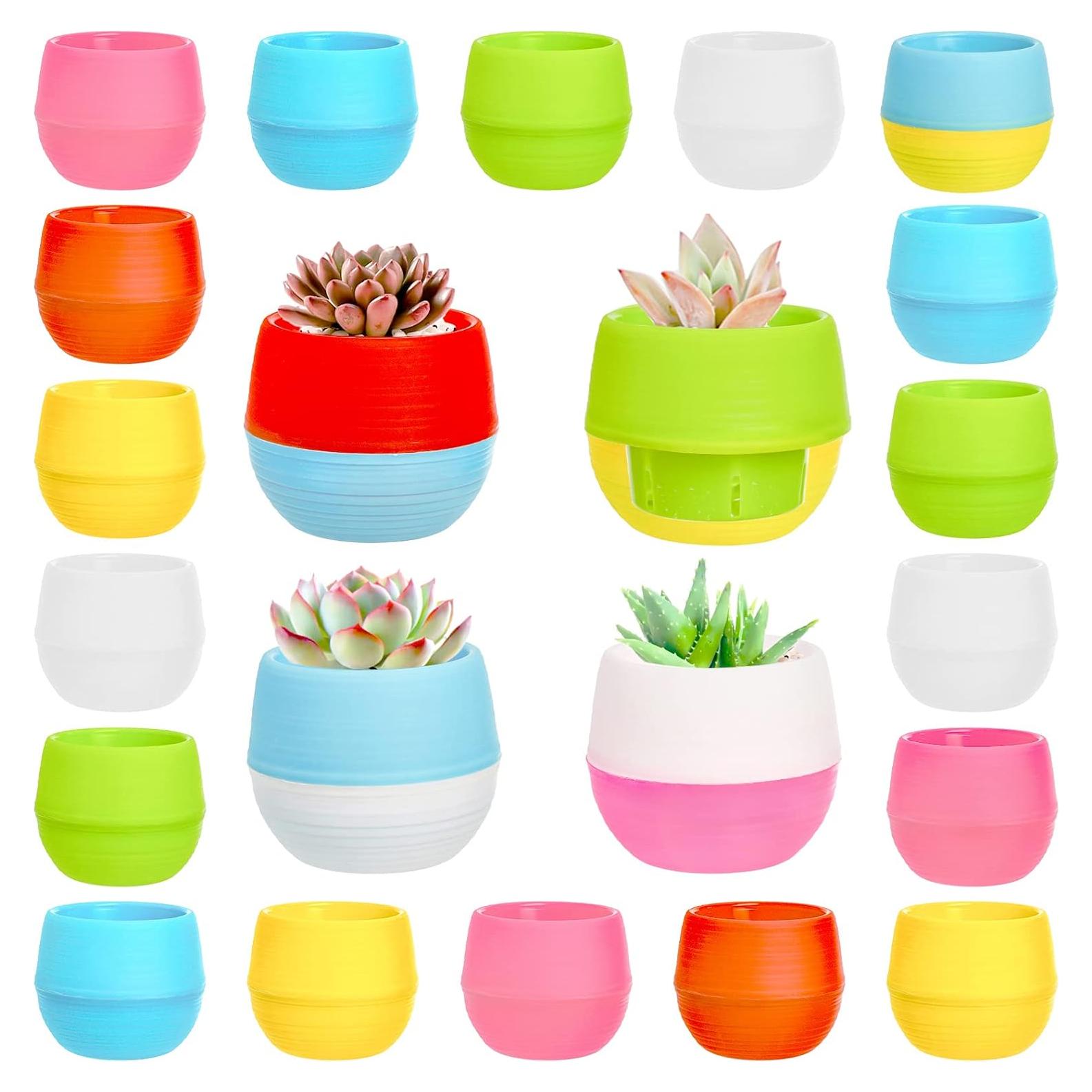 Elsjoy 30 Macetas Mini Suculentas 7.6 cm con Drenaje
