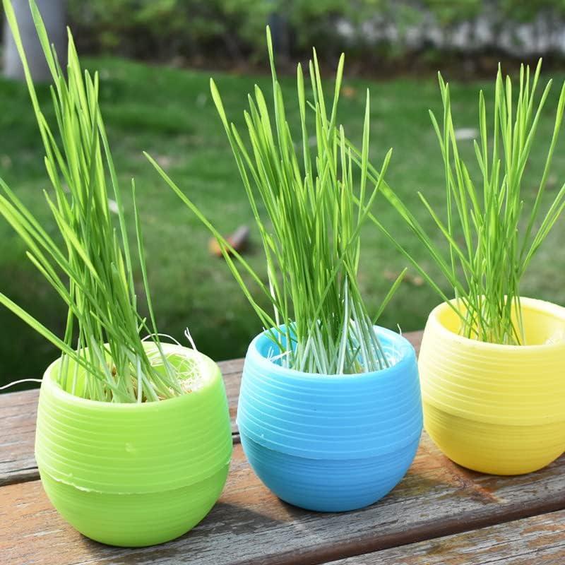 Elsjoy 30 Macetas Mini Suculentas 7.6 cm con Drenaje