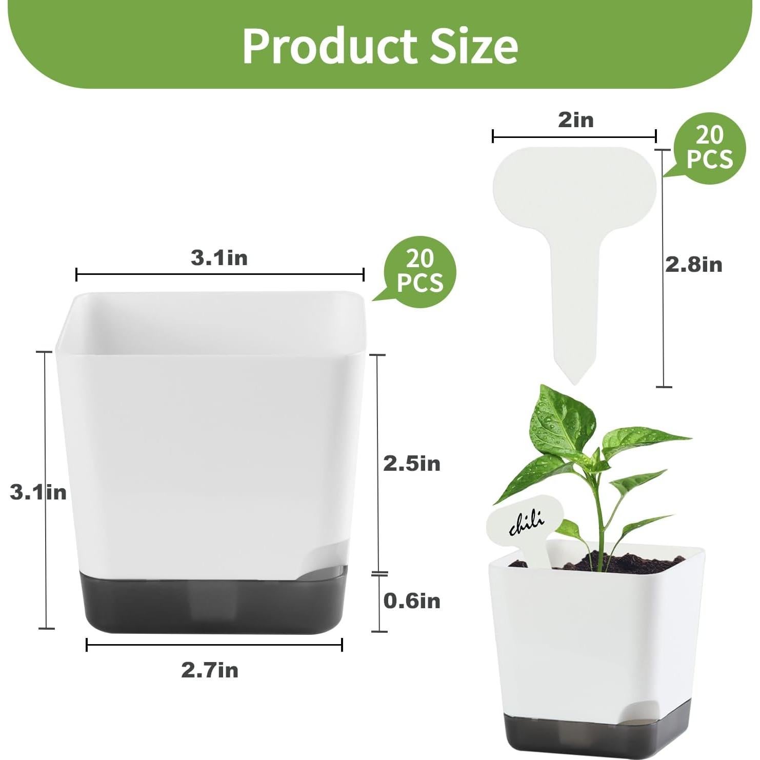 Macetas pequeñas Oliz 7.87 cm, paquete de 20 macetas blancas