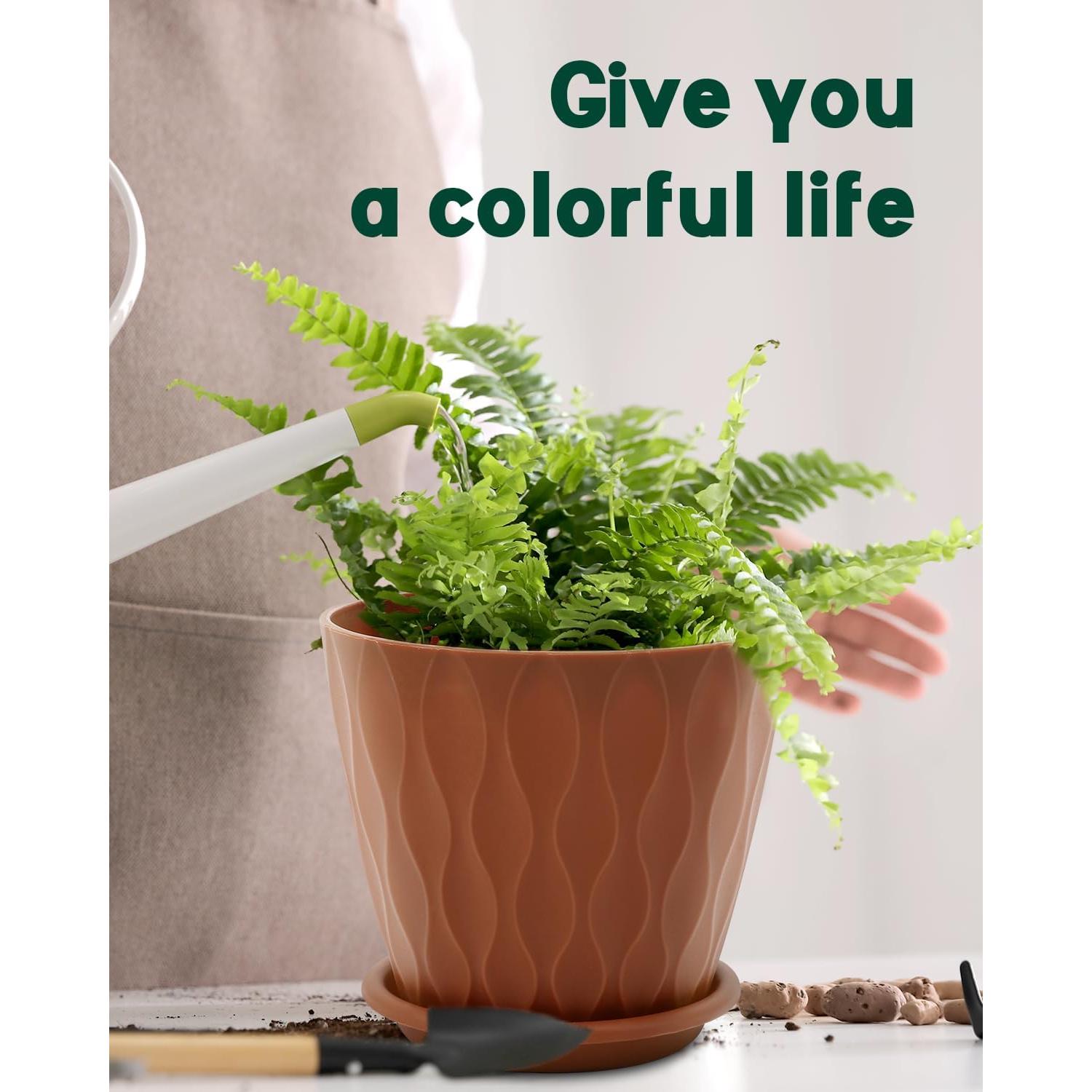 Macetas de Interior Goproauto 15.24 cm Multicolor con Plato Drenaje - 5 Piezas