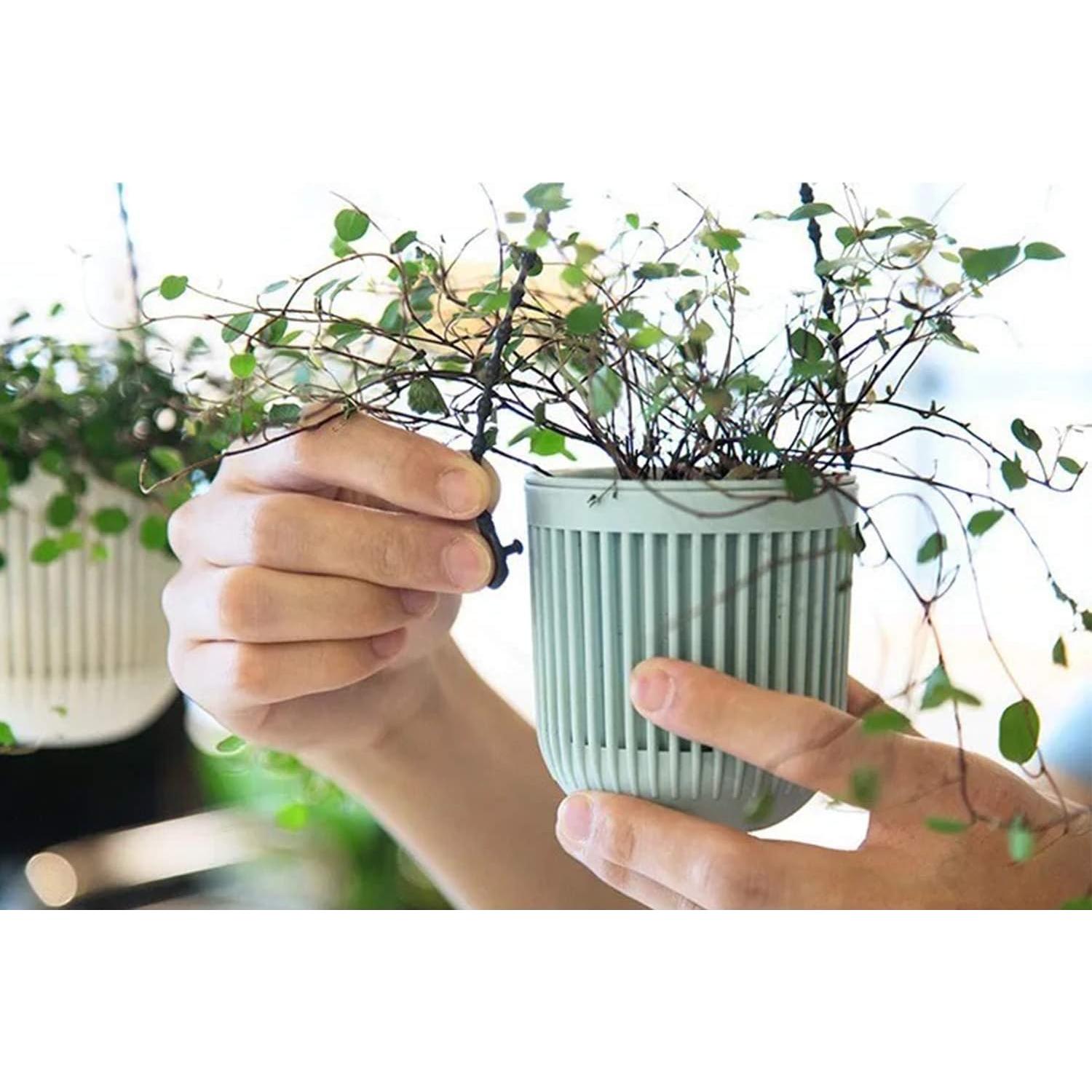 Macetas Colgantes Melphoe 6 Piezas 8.7 cm con Drenaje