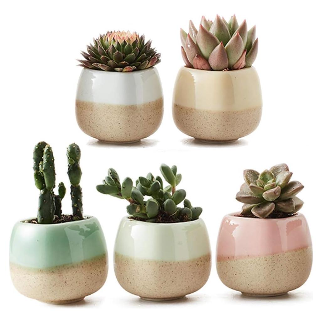 Set de 5 macetas de cerámica SUN-E 5.58 cm esmaltadas