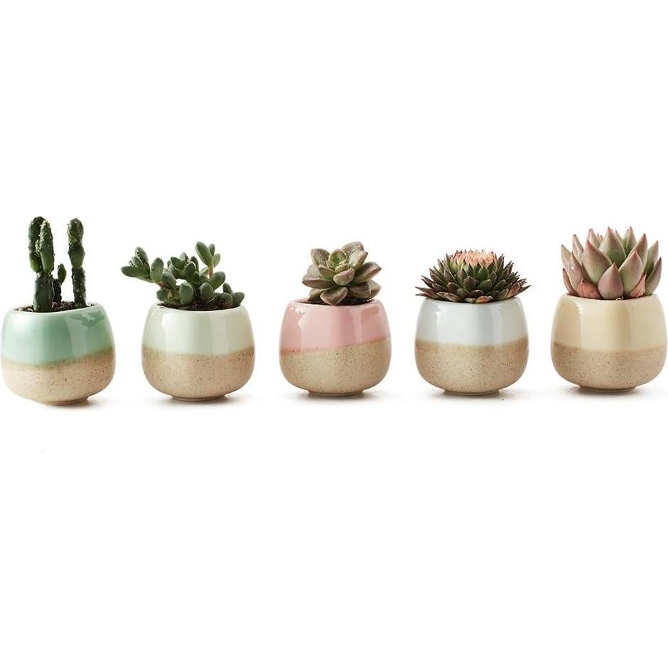 Set de 5 macetas de cerámica SUN-E 5.58 cm esmaltadas