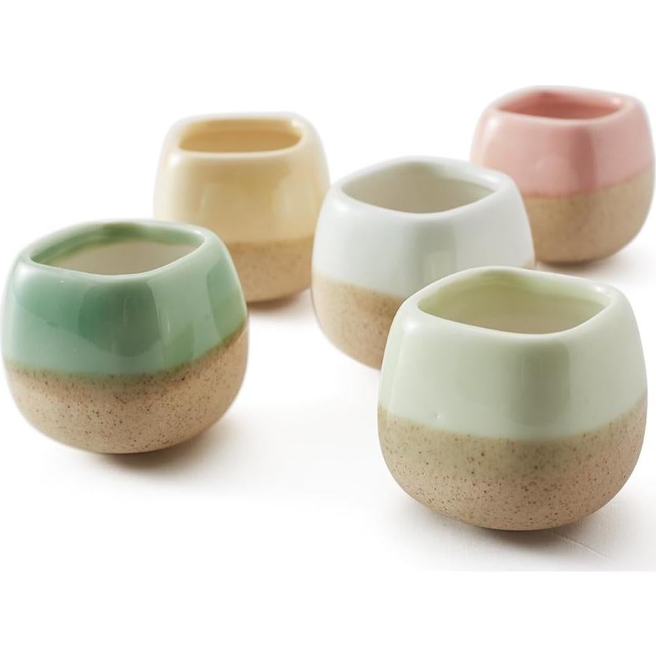 Set de 5 macetas de cerámica SUN-E 5.58 cm esmaltadas