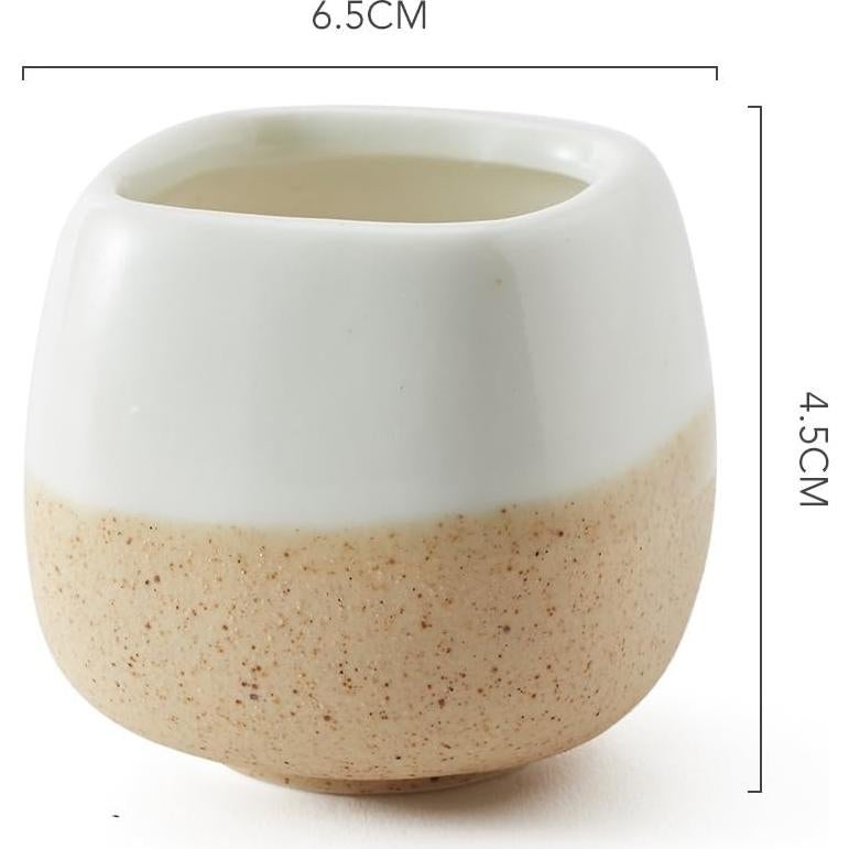 Set de 5 macetas de cerámica SUN-E 5.58 cm esmaltadas