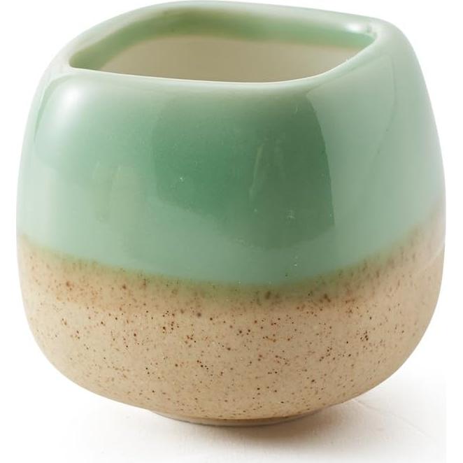 Set de 5 macetas de cerámica SUN-E 5.58 cm esmaltadas