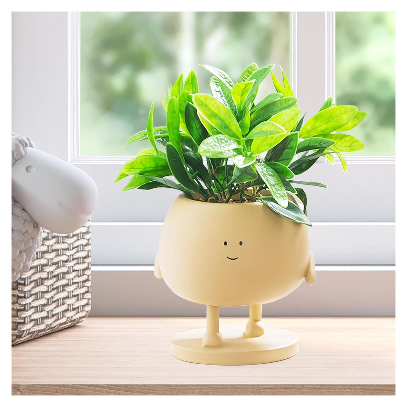 Maceta de Cara COTYNI 12.4 cm Resina con Drenaje para Suculentas