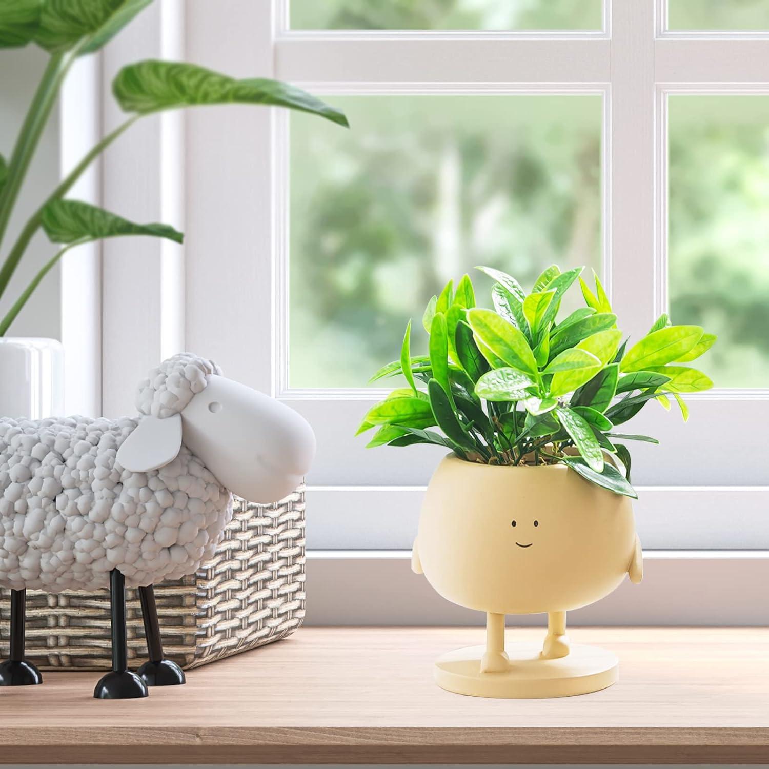 Maceta de Cara COTYNI 12.4 cm Resina con Drenaje para Suculentas