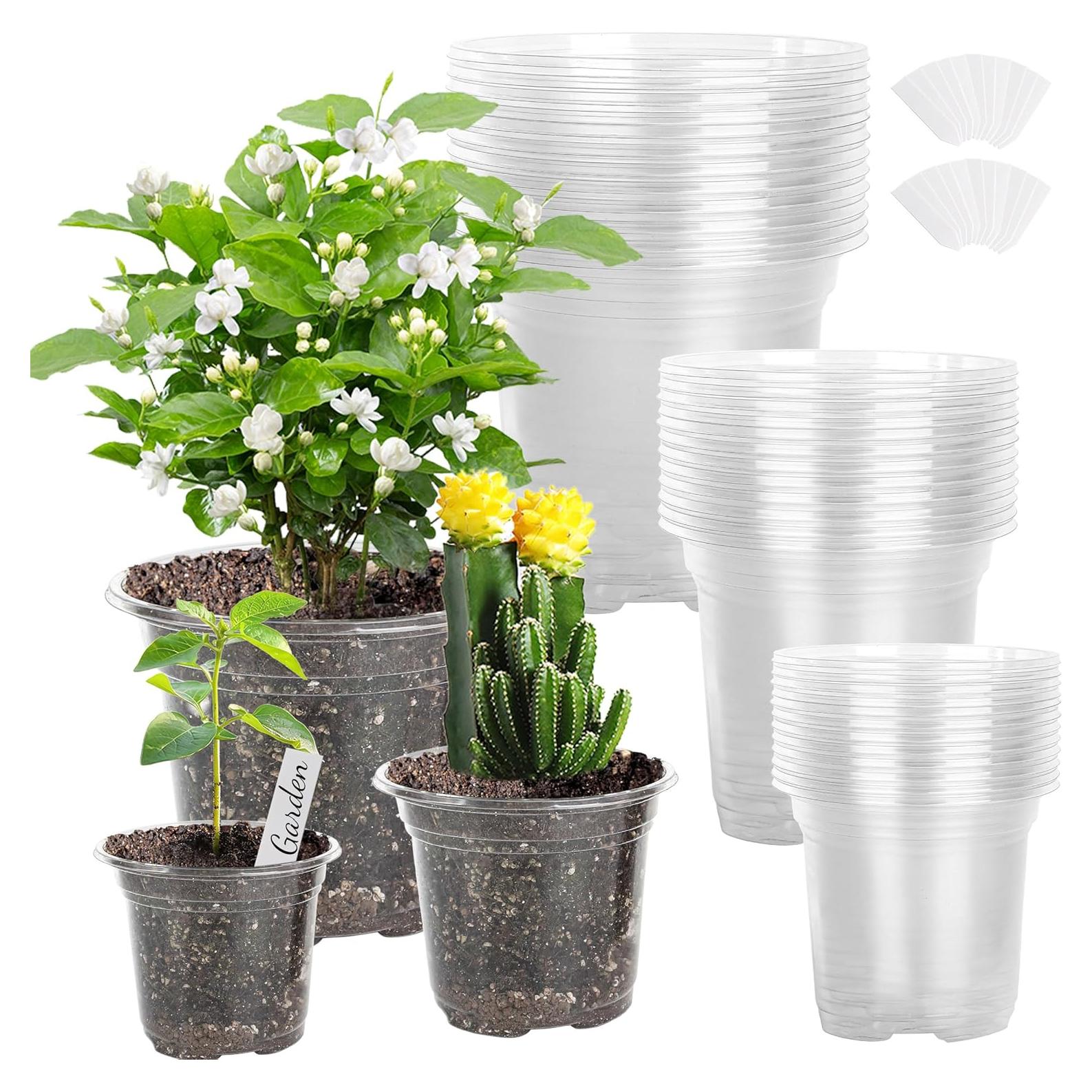 Macetero de Plástico Transparente LOCONHA 5" (Paquete 36)