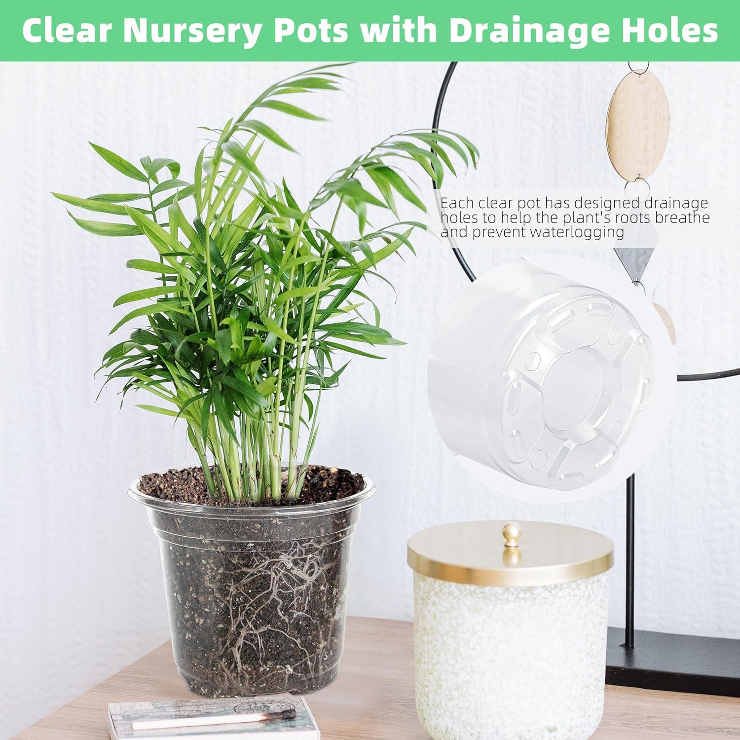 Macetero de Plástico Transparente LOCONHA 5" (Paquete 36)