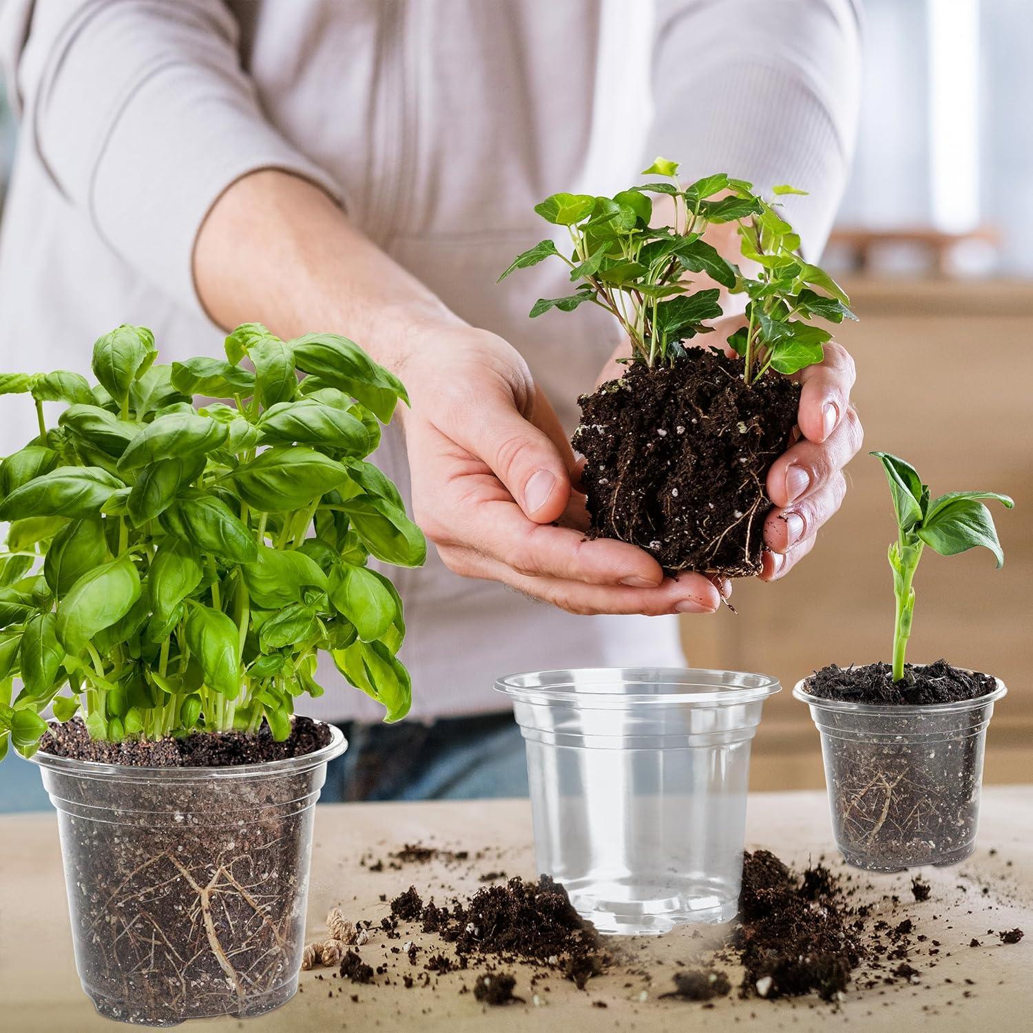 Macetero de Plástico Transparente LOCONHA 5" (Paquete 36)