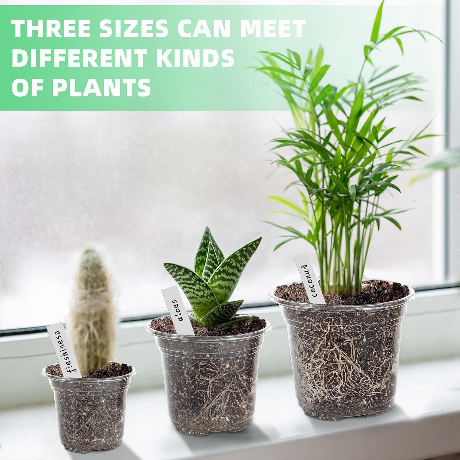 Macetero de Plástico Transparente LOCONHA 5" (Paquete 36)