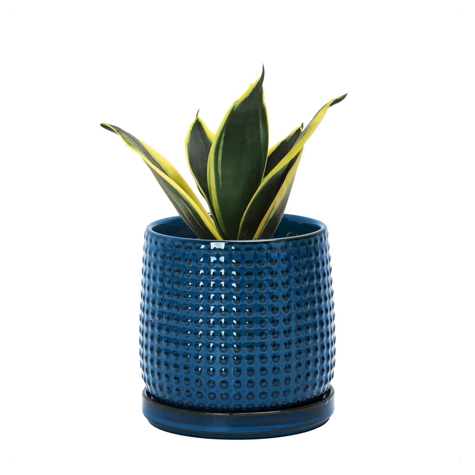 Maceta de Cerámica D'vine Dev 10.16 cm Azul Medianoche con Platillo