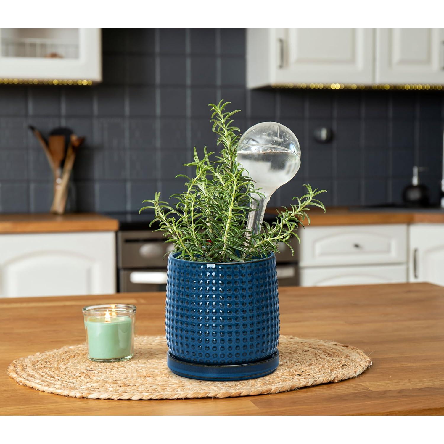 Maceta de Cerámica D'vine Dev 10.16 cm Azul Medianoche con Platillo