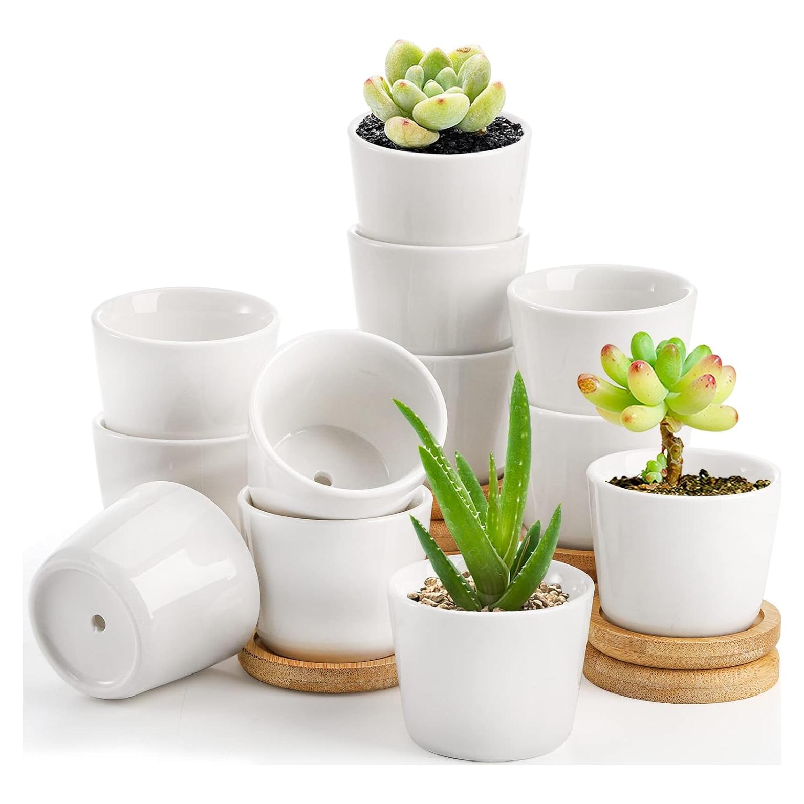 Tosnail Paquete de 12 Macetas Cerámicas para Suculentas 6.35cm