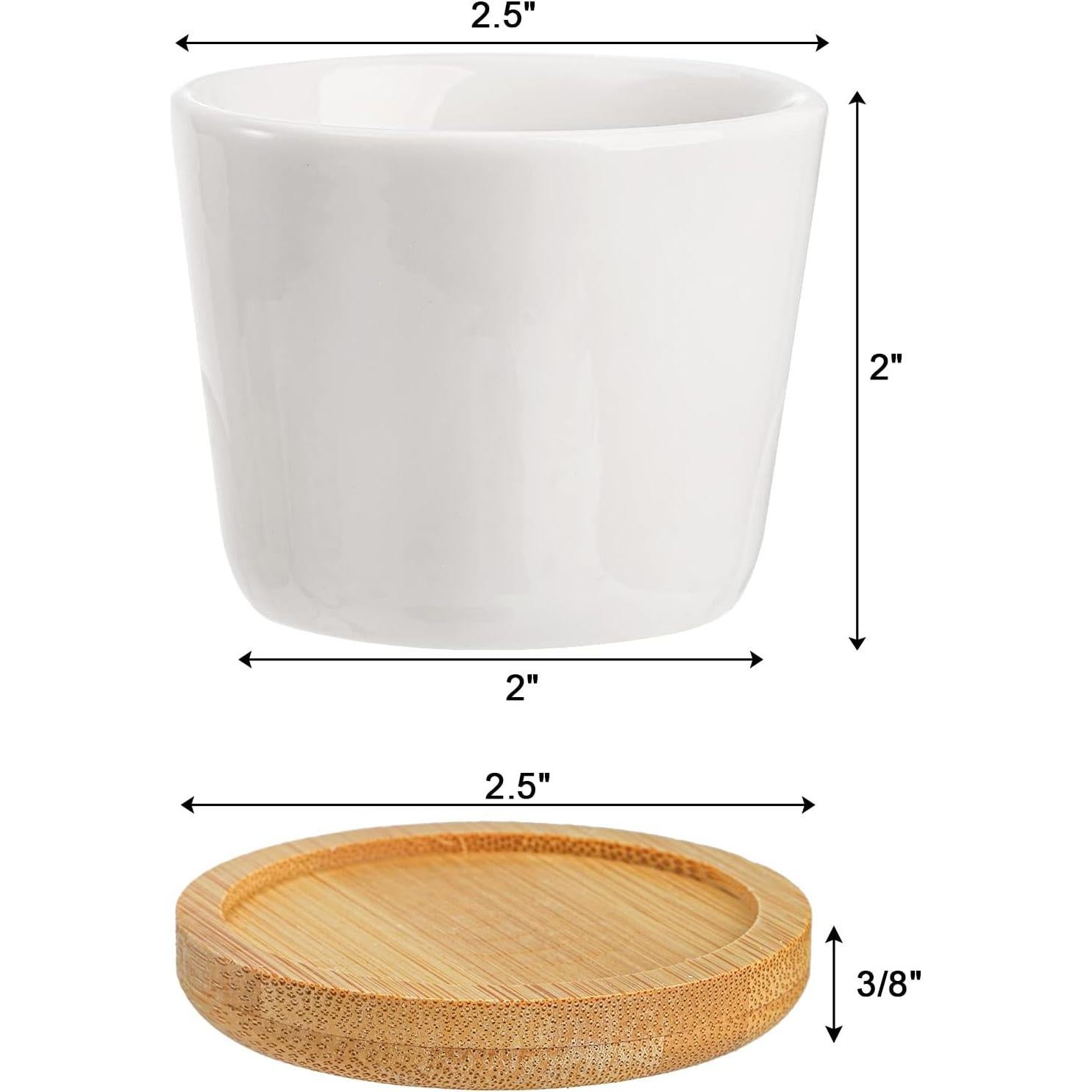 Tosnail Paquete de 12 Macetas Cerámicas para Suculentas 6.35cm