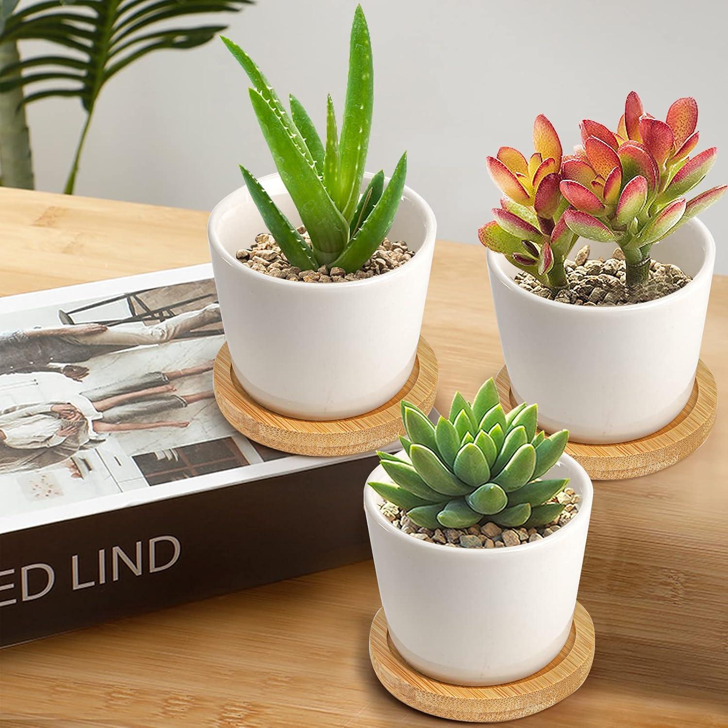 Tosnail Paquete de 12 Macetas Cerámicas para Suculentas 6.35cm