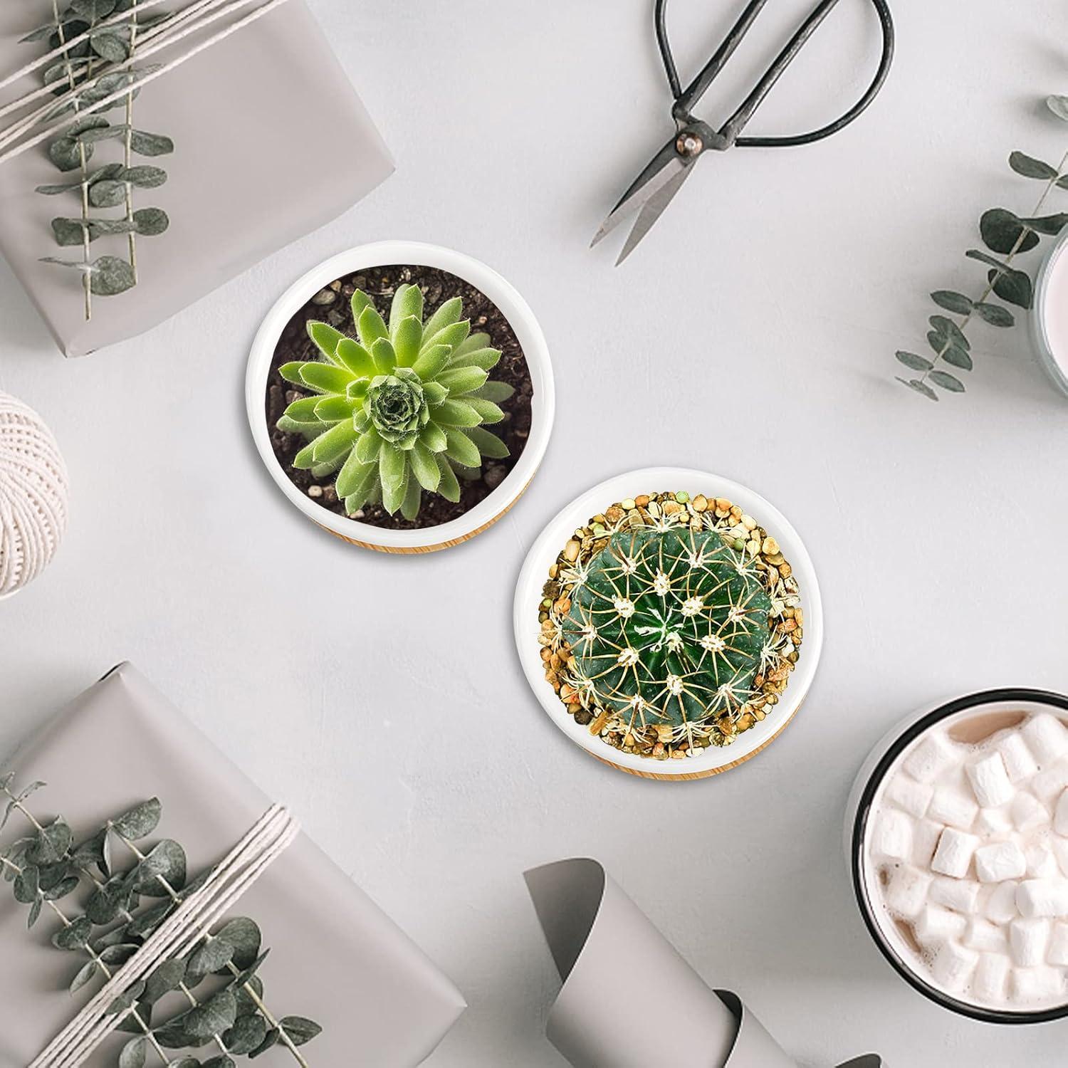 Tosnail Paquete de 12 Macetas Cerámicas para Suculentas 6.35cm