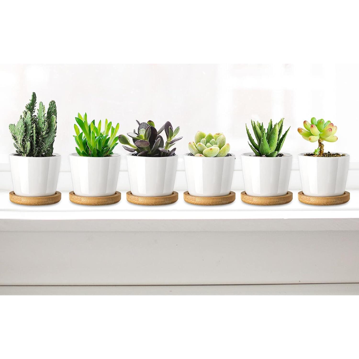 Tosnail Paquete de 12 Macetas Cerámicas para Suculentas 6.35cm