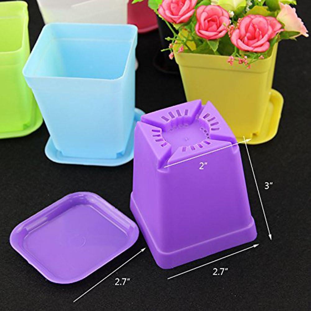 Set de 12 Macetas de Plástico Coloridas WARMBUY 6.99 cm