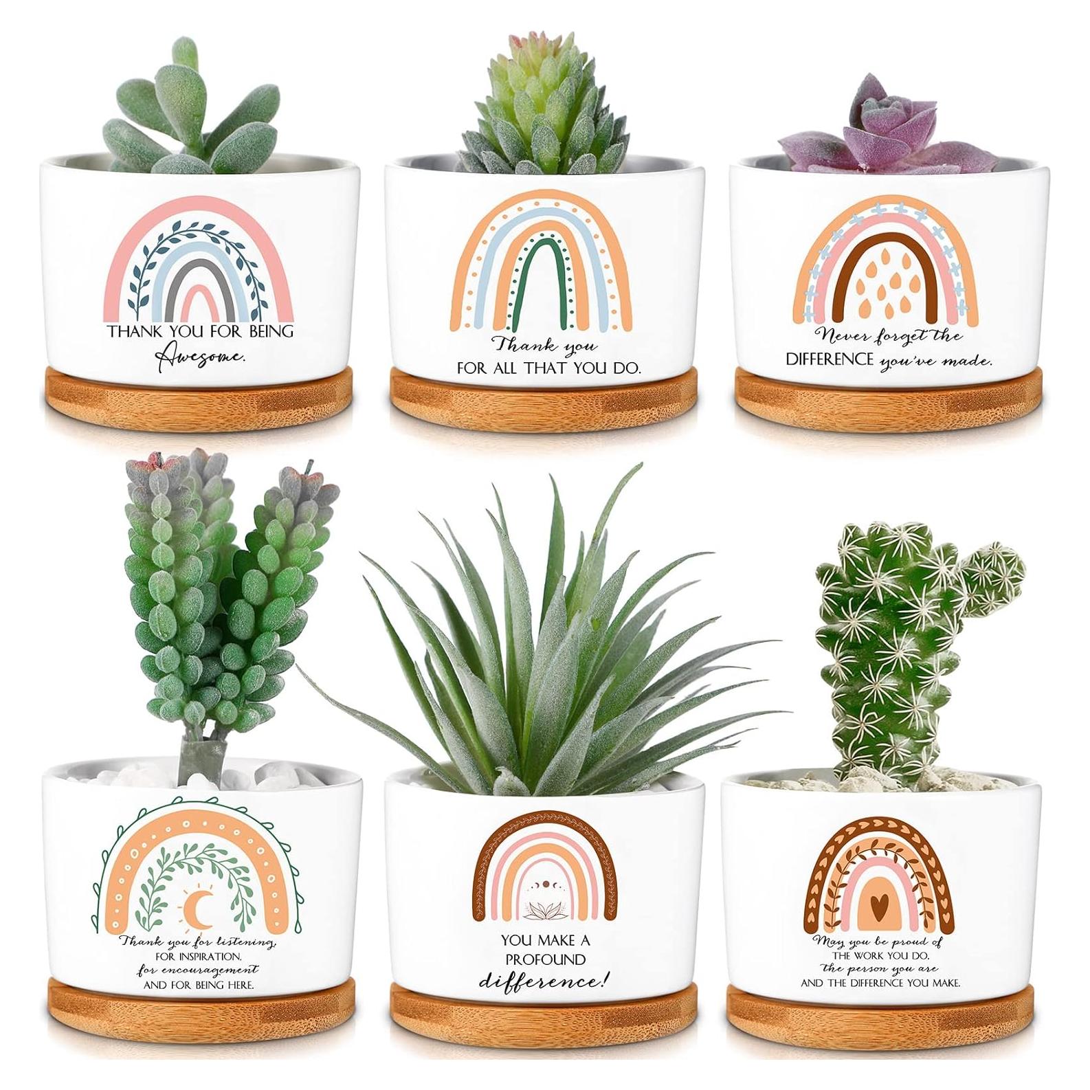 Macetas Suculentas Cerámica Sieral 6 Pcs Boho Agradecimiento