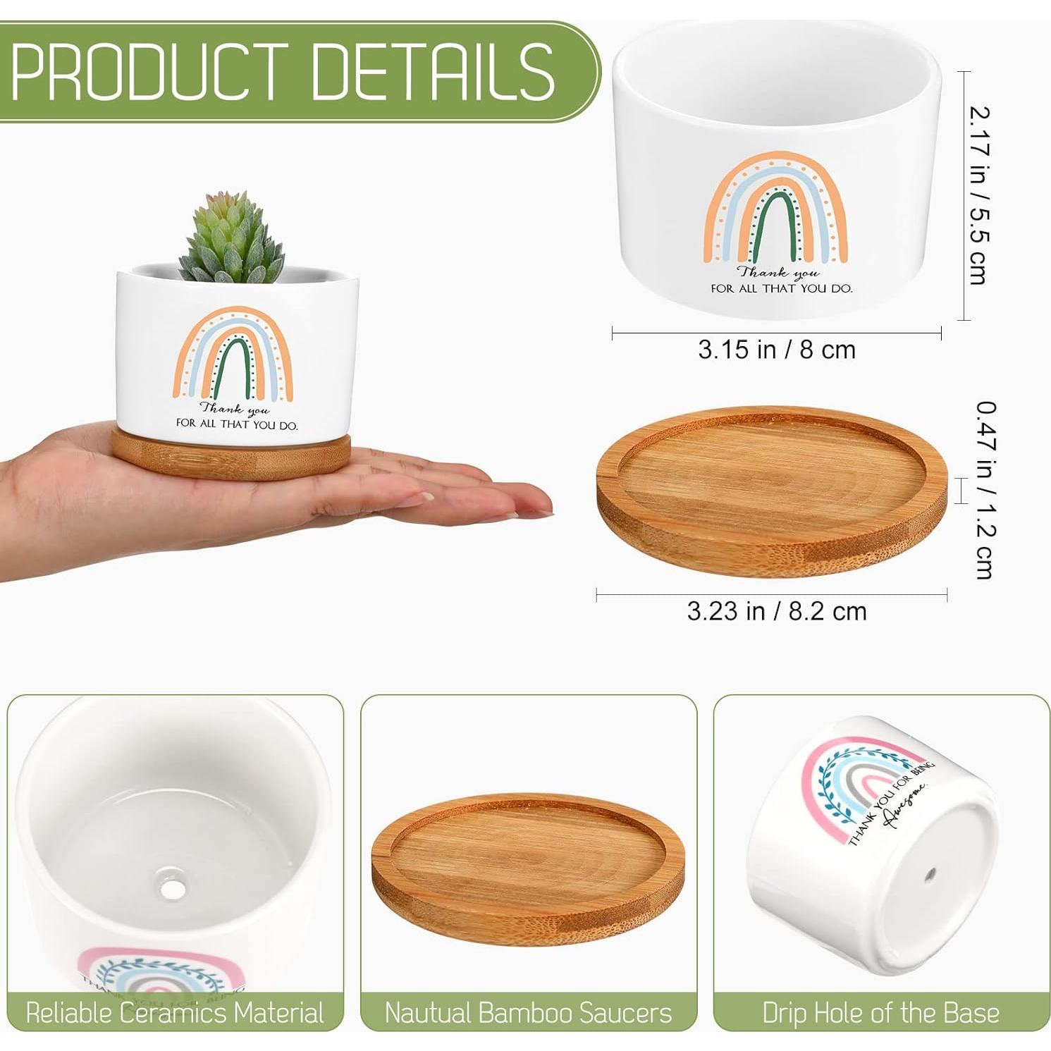 Macetas Suculentas Cerámica Sieral 6 Pcs Boho Agradecimiento