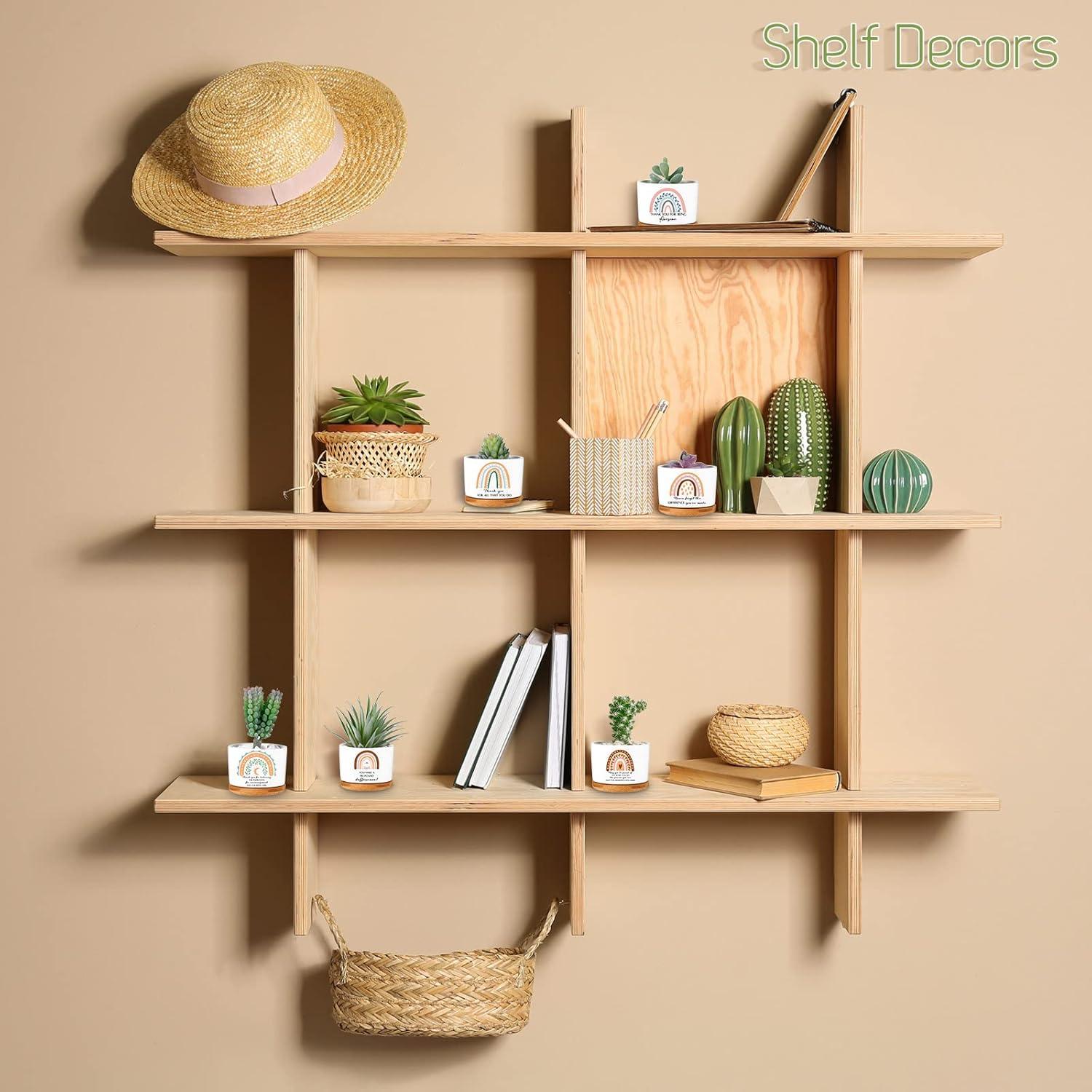 Macetas Suculentas Cerámica Sieral 6 Pcs Boho Agradecimiento