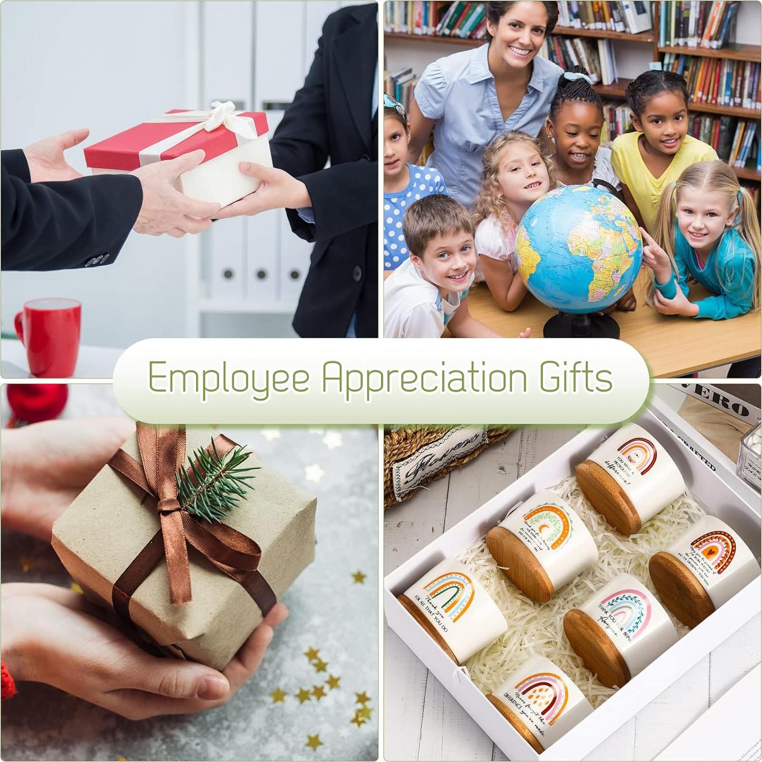 Macetas Suculentas Cerámica Sieral 6 Pcs Boho Agradecimiento