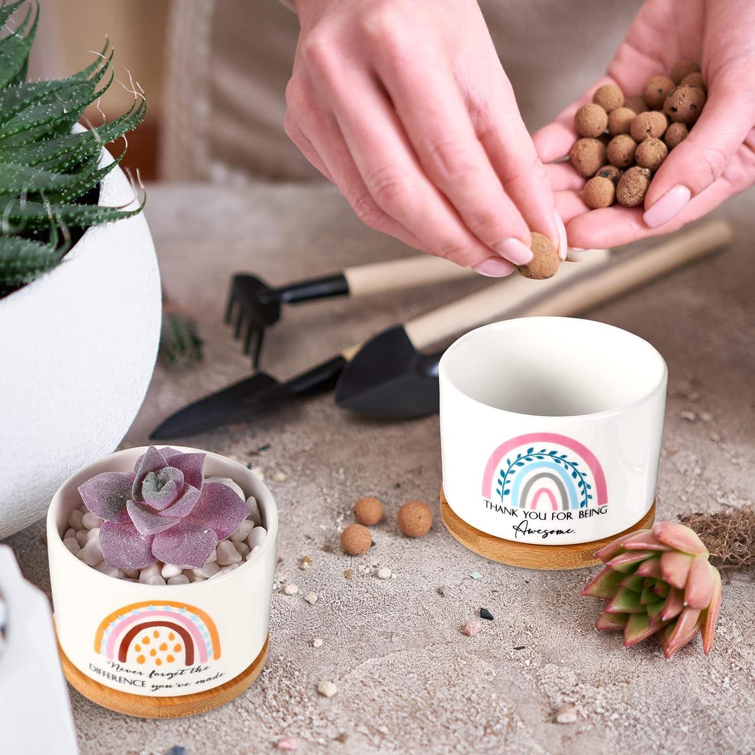 Macetas Suculentas Cerámica Sieral 6 Pcs Boho Agradecimiento