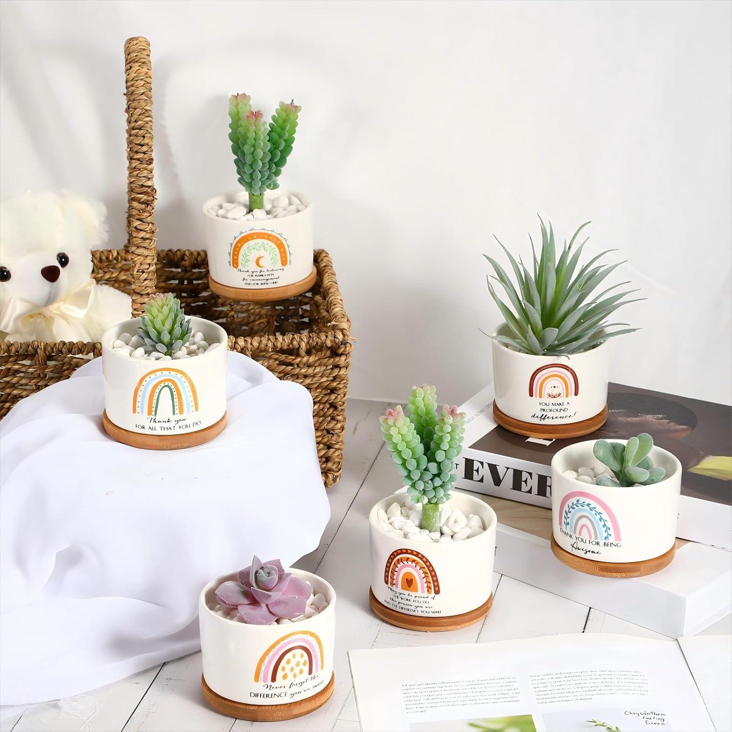 Macetas Suculentas Cerámica Sieral 6 Pcs Boho Agradecimiento