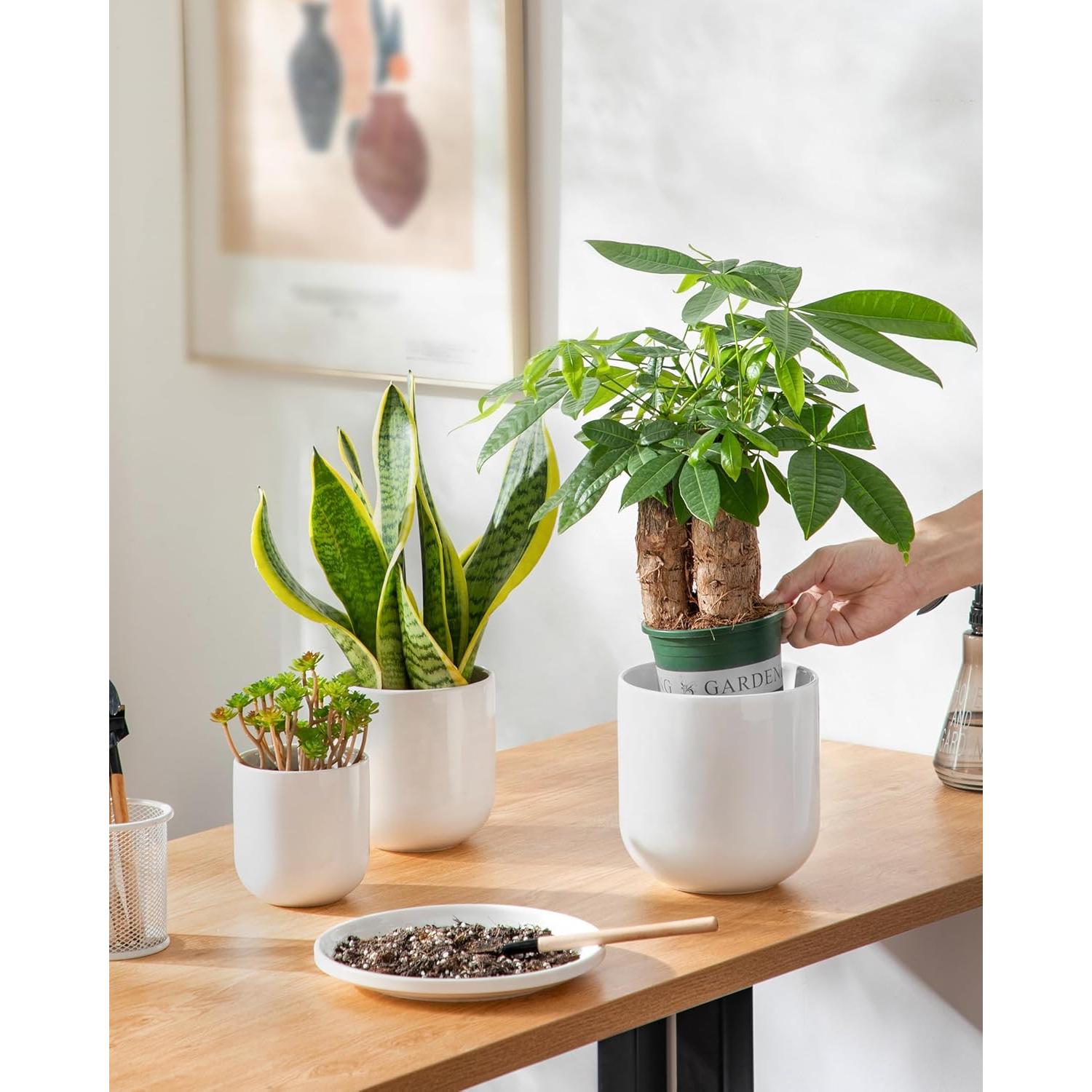 Juego de 3 Macetas de Cerámica Vancasso 10+12+15 cm Drenaje