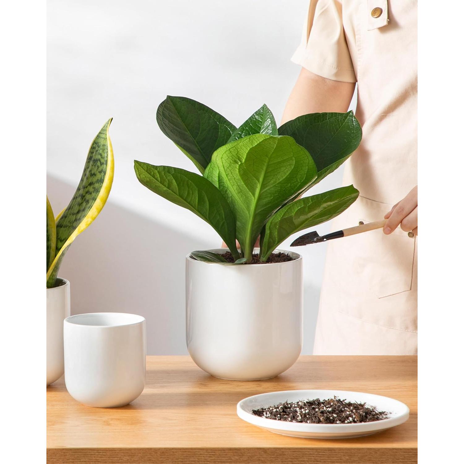 Juego de 3 Macetas de Cerámica Vancasso 10+12+15 cm Drenaje