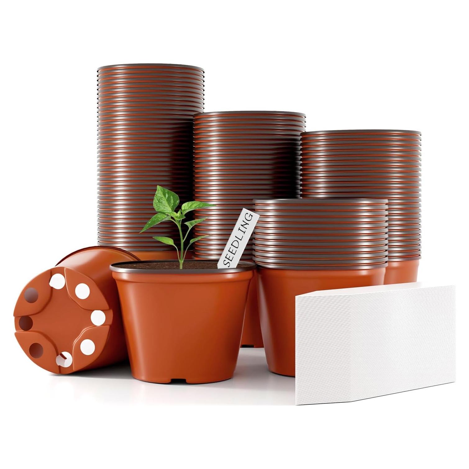 100 Macetas de Vivero 4" Bluckincle con Etiquetas y Drenaje