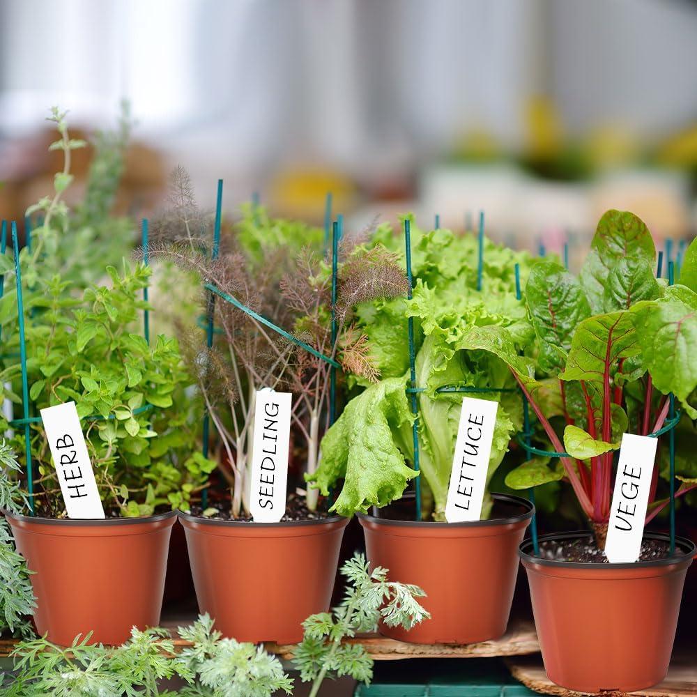 100 Macetas de Vivero 4" Bluckincle con Etiquetas y Drenaje