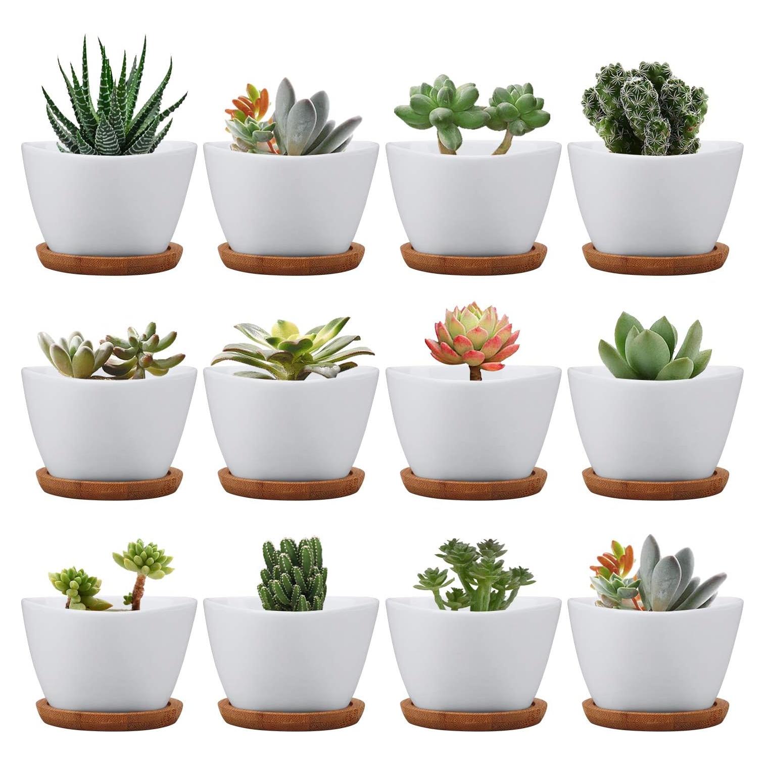 Macetas Pequeñas de Cerámica Brajttt con Drenaje - 12 Piezas
