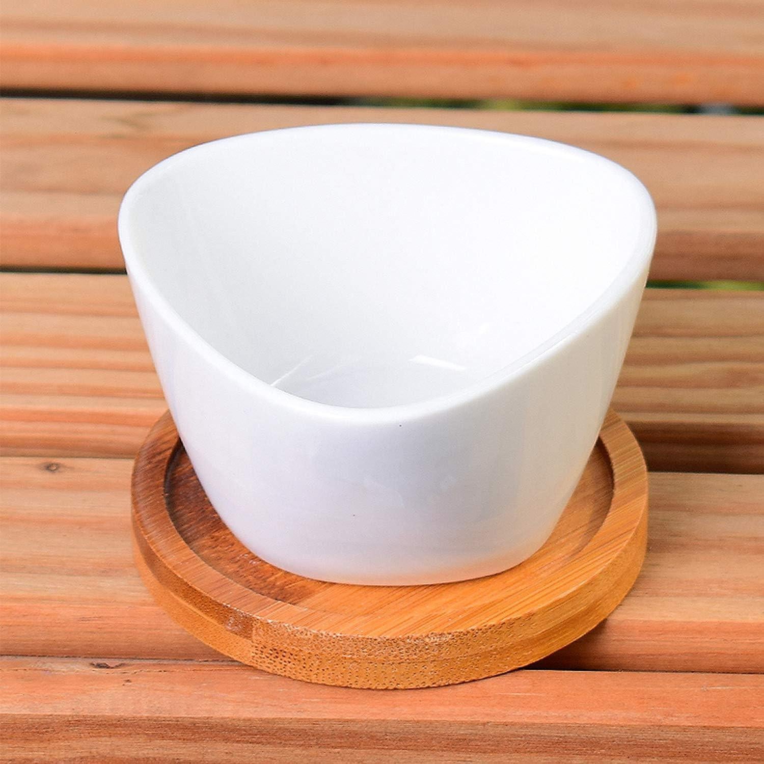 Macetas Pequeñas de Cerámica Brajttt con Drenaje - 12 Piezas