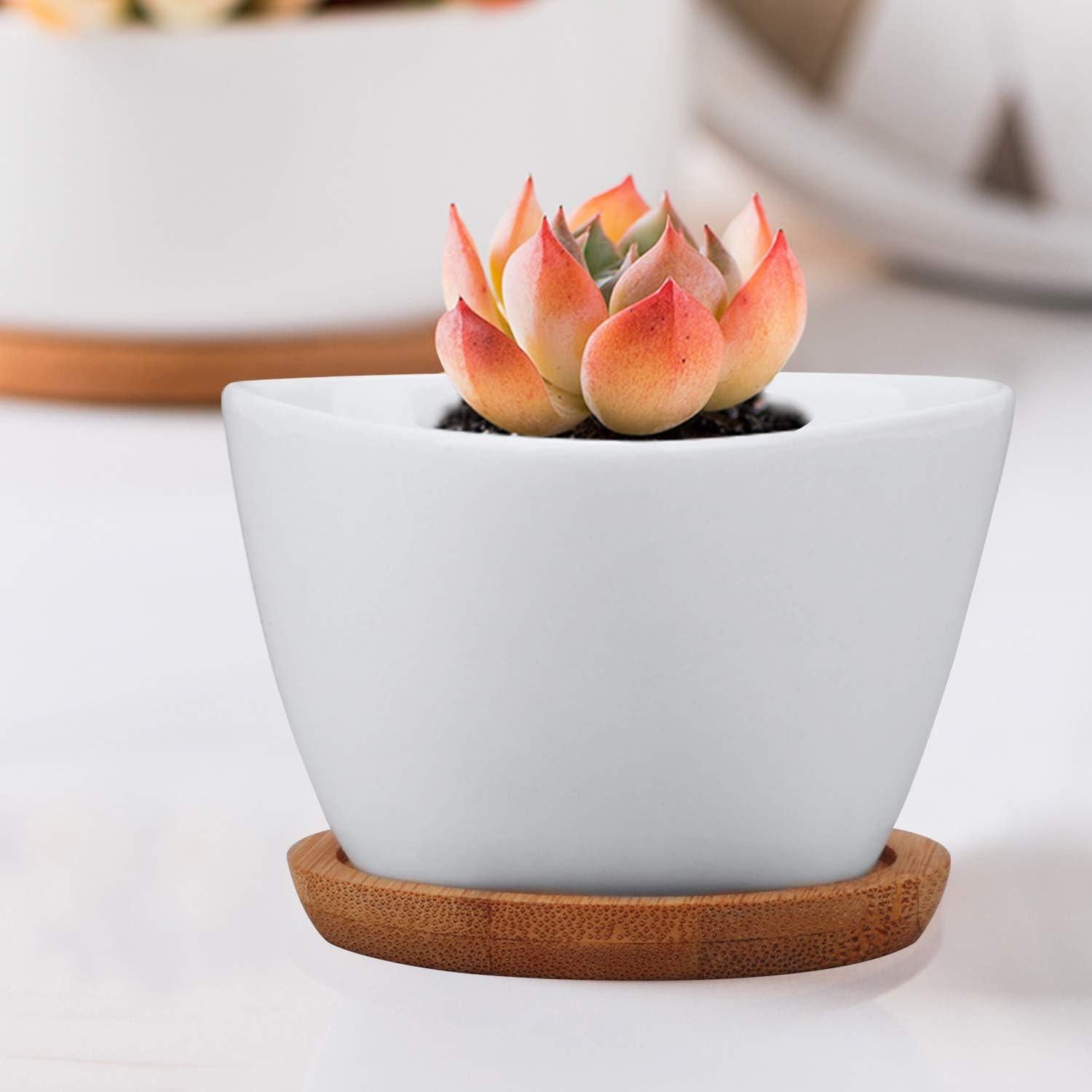 Macetas Pequeñas de Cerámica Brajttt con Drenaje - 12 Piezas