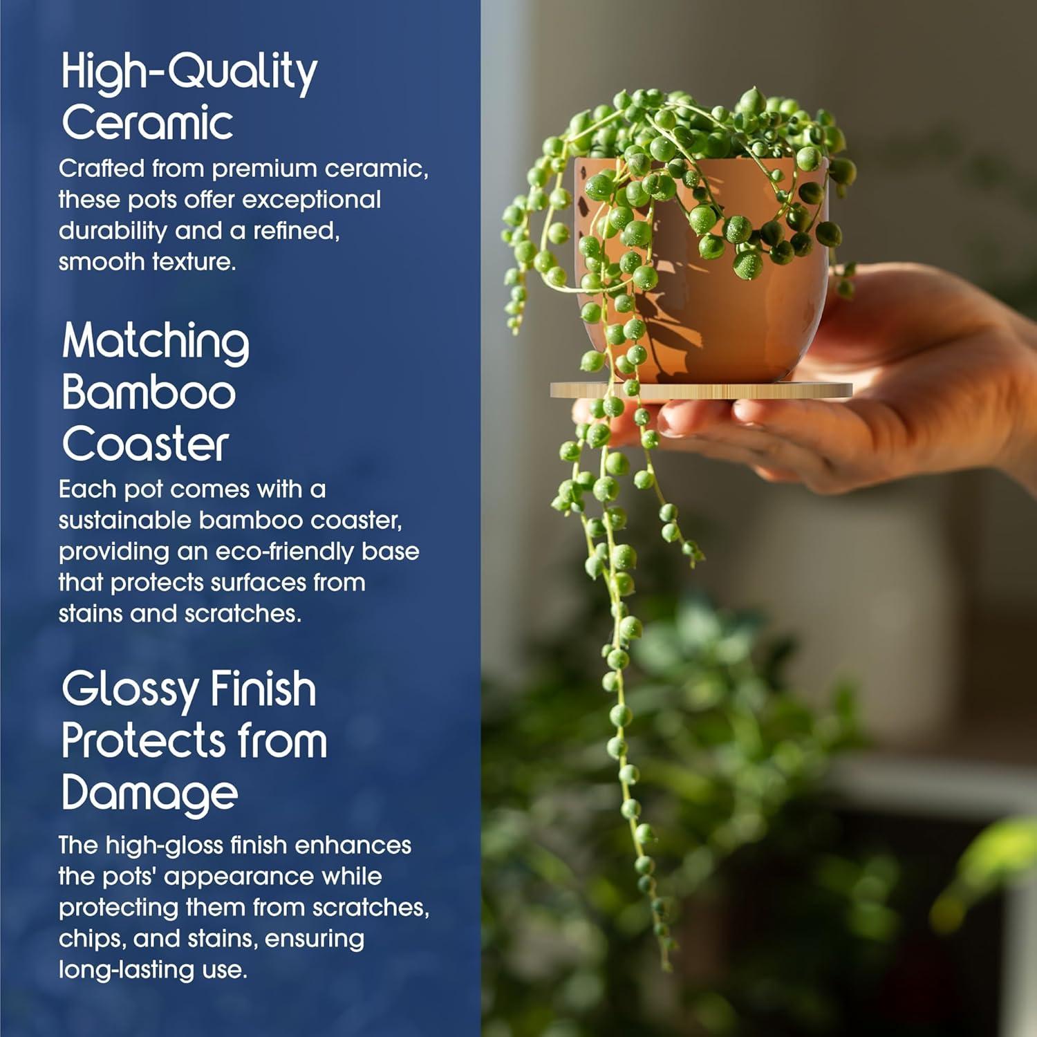 Set de 5 Macetas de Cerámica Bon Decor 6.35 cm con Posavasos