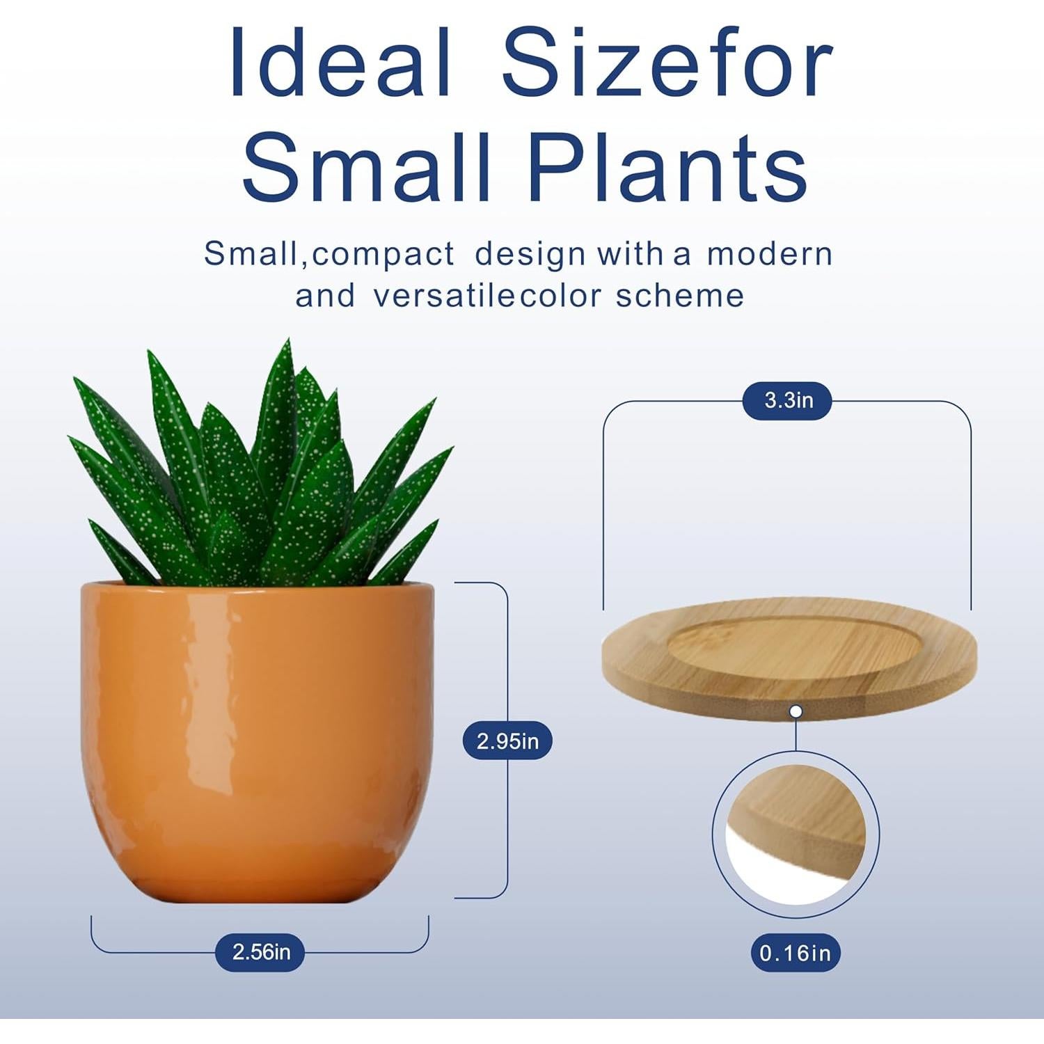 Set de 5 Macetas de Cerámica Bon Decor 6.35 cm con Posavasos