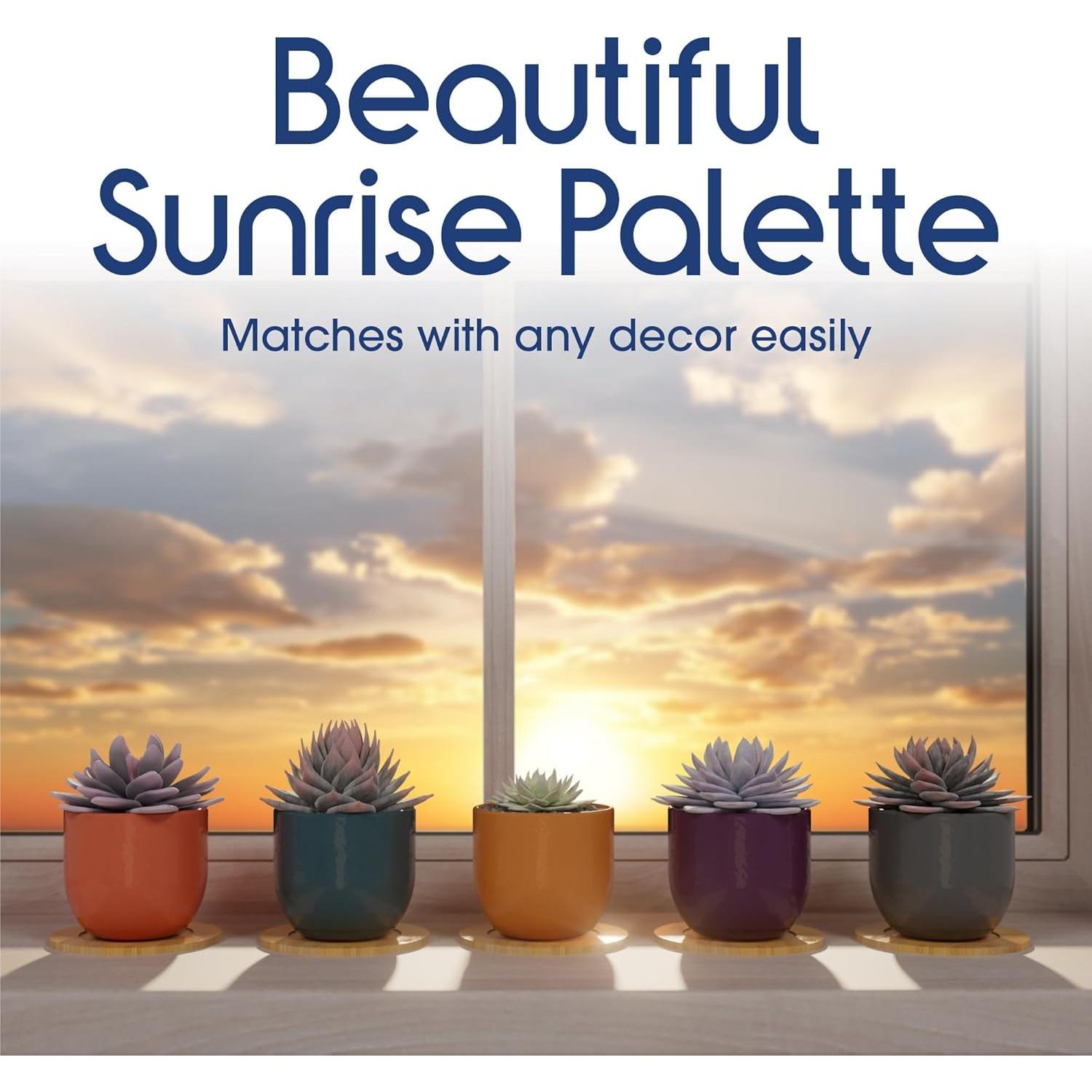 Set de 5 Macetas de Cerámica Bon Decor 6.35 cm con Posavasos