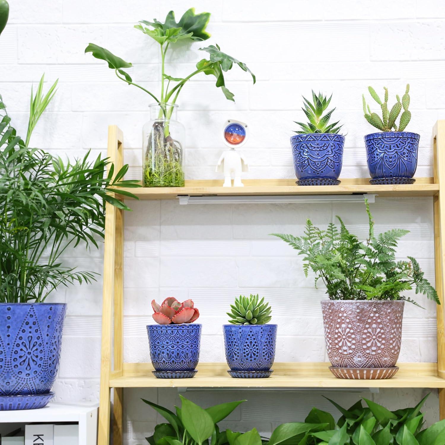 Macetas Suculentas Gepege - Juego de 4 Cerámicas 10 cm Azul