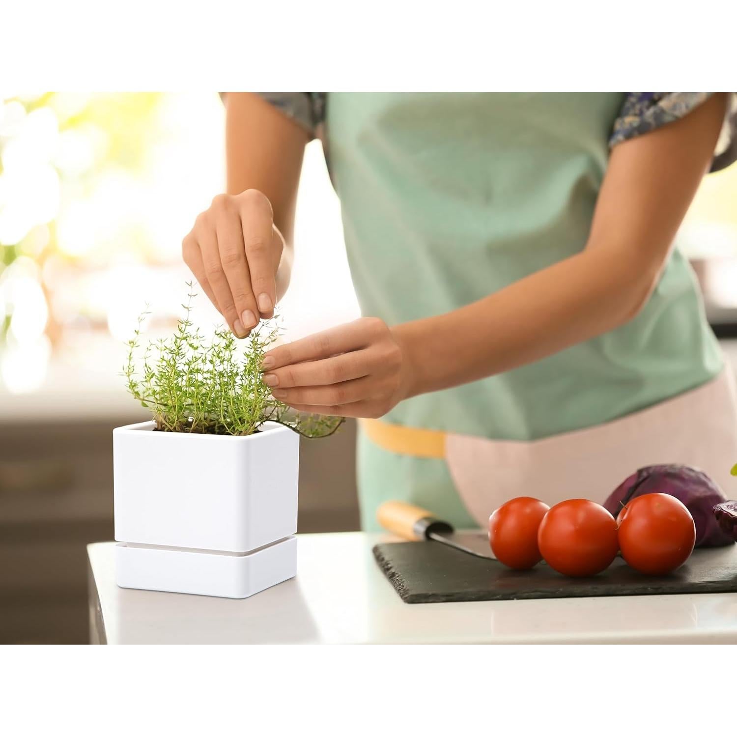 Maceta de Hierbas D'vine Dev 10 cm Blanca con Drenaje y Plato