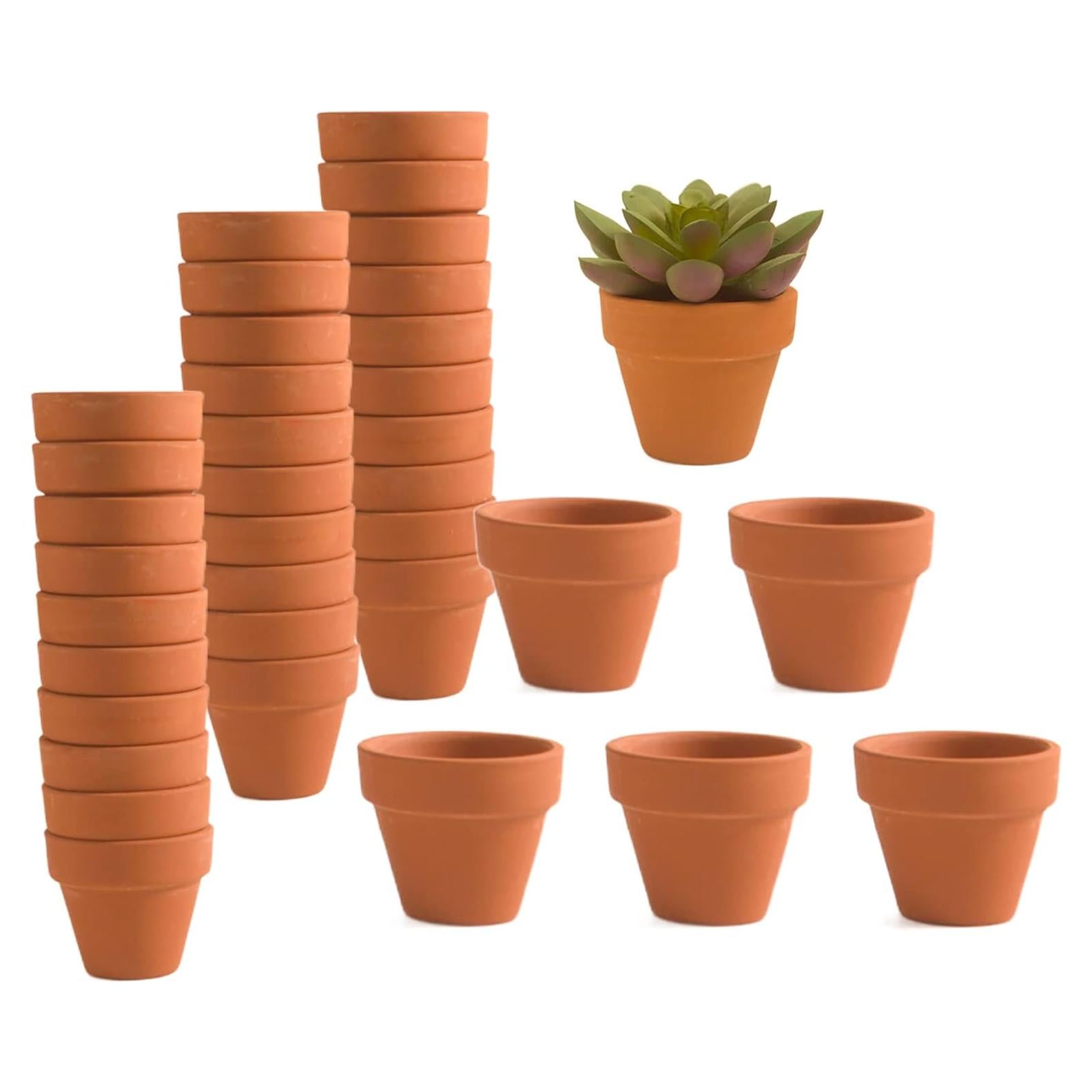 36 Macetas de Terracota Pequeñas 5.08 cm con Drenaje Fcacti