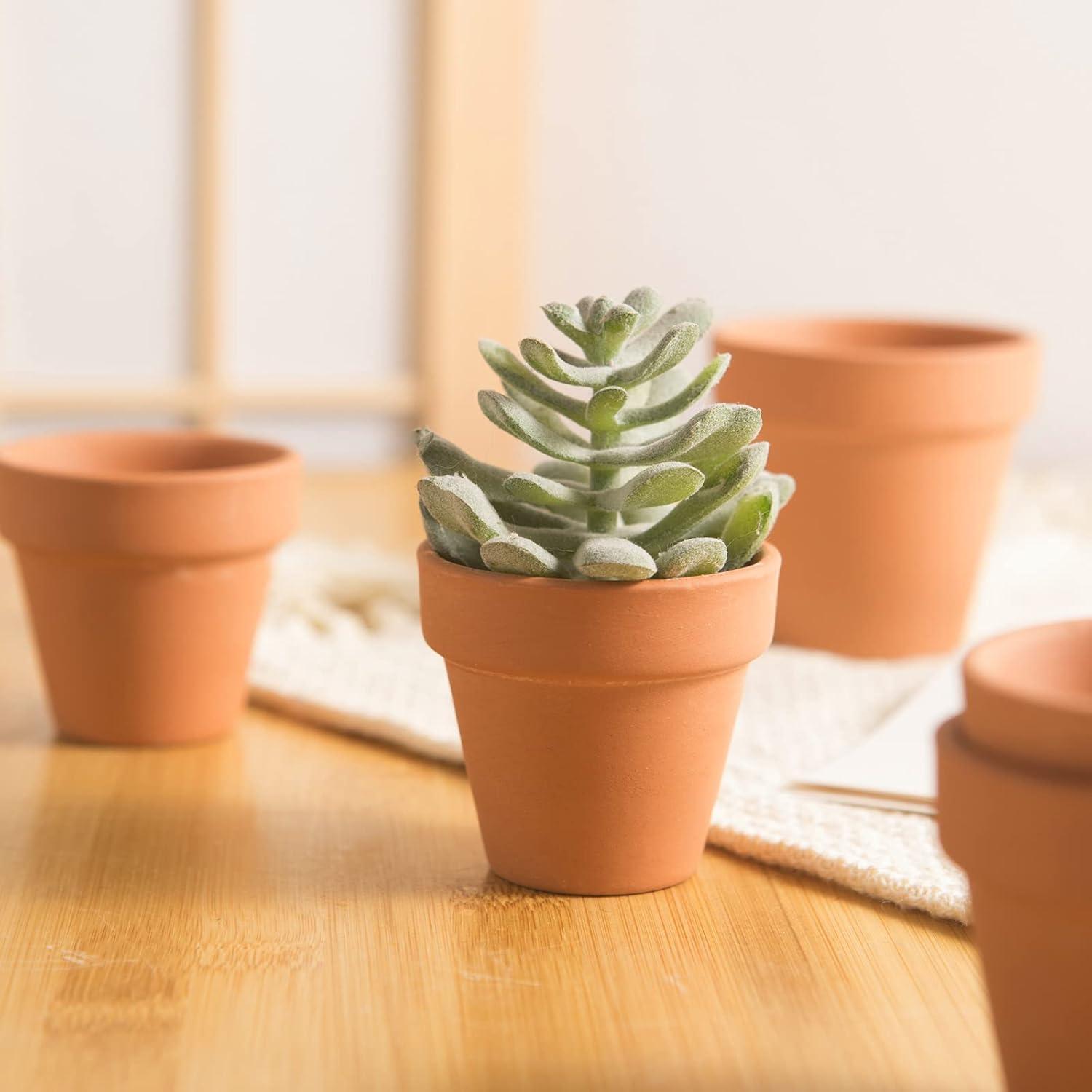 36 Macetas de Terracota Pequeñas 5.08 cm con Drenaje Fcacti