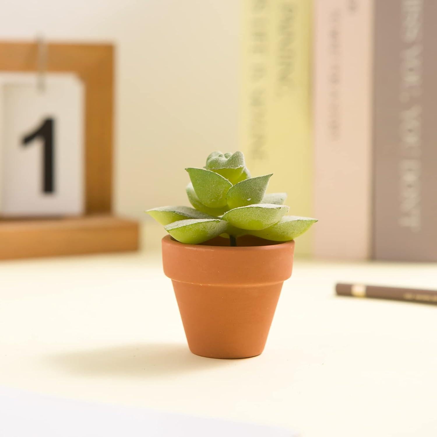 36 Macetas de Terracota Pequeñas 5.08 cm con Drenaje Fcacti