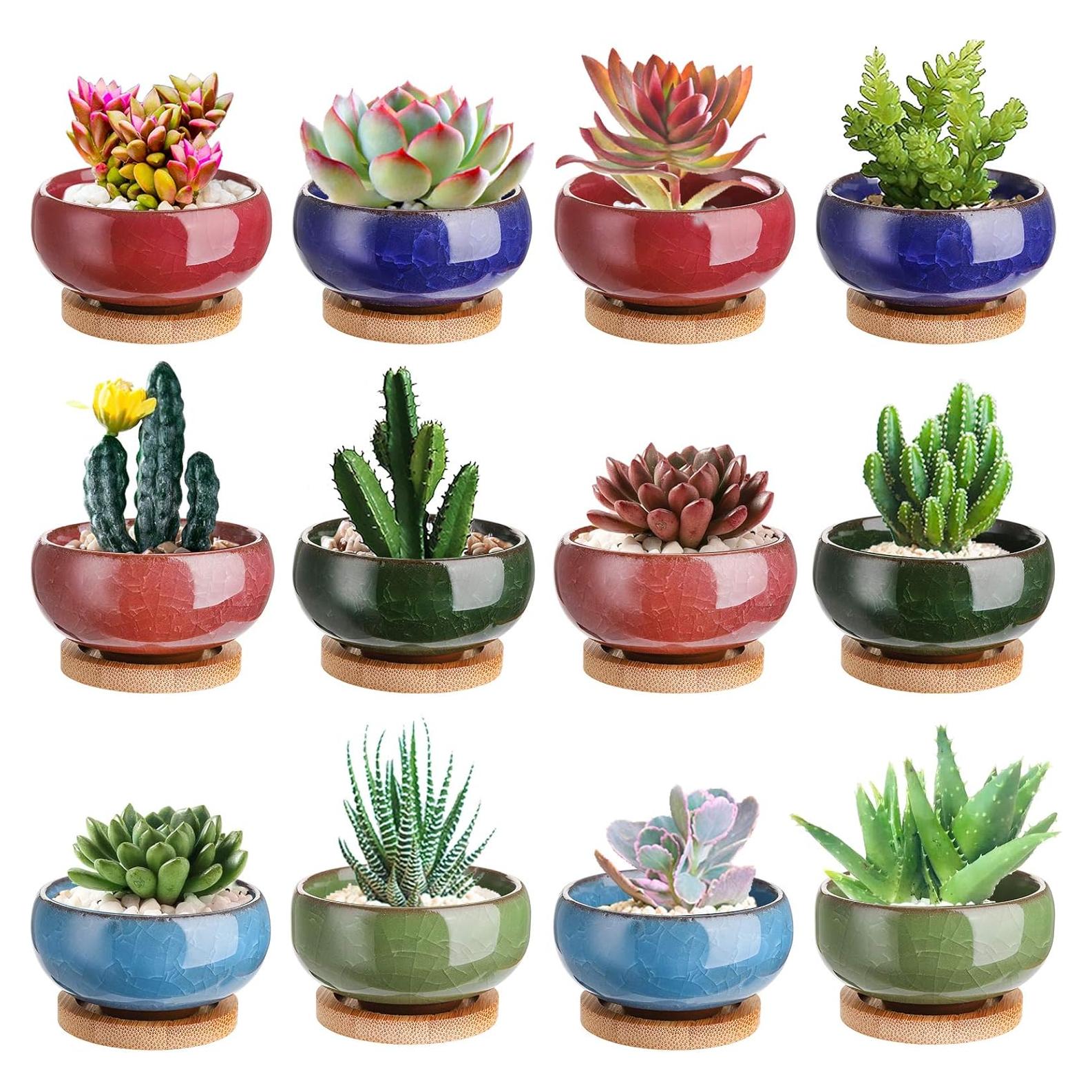 Macetas de Cerámica Lawei 12 Piezas con Drenaje y Bandeja