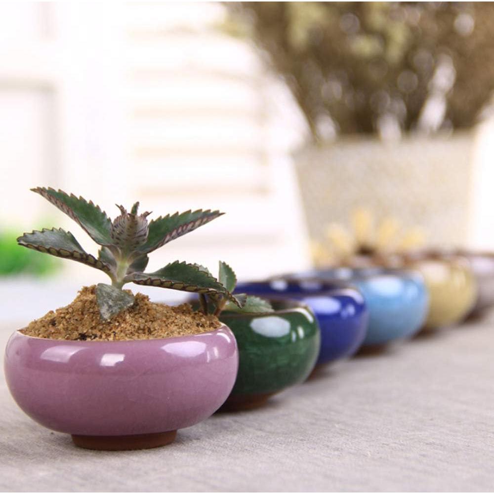 Macetas de Cerámica Lawei 12 Piezas con Drenaje y Bandeja