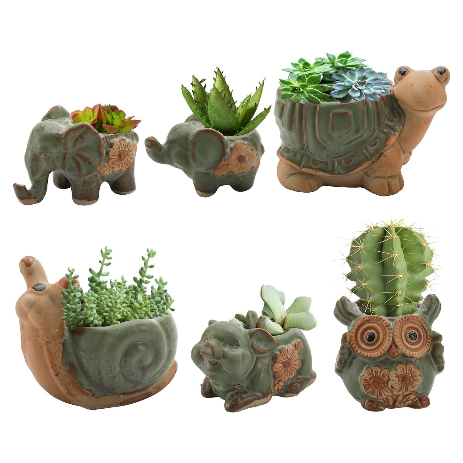 Conjunto de 6 Macetas Suculentas Cerámicas Okllen - Animales