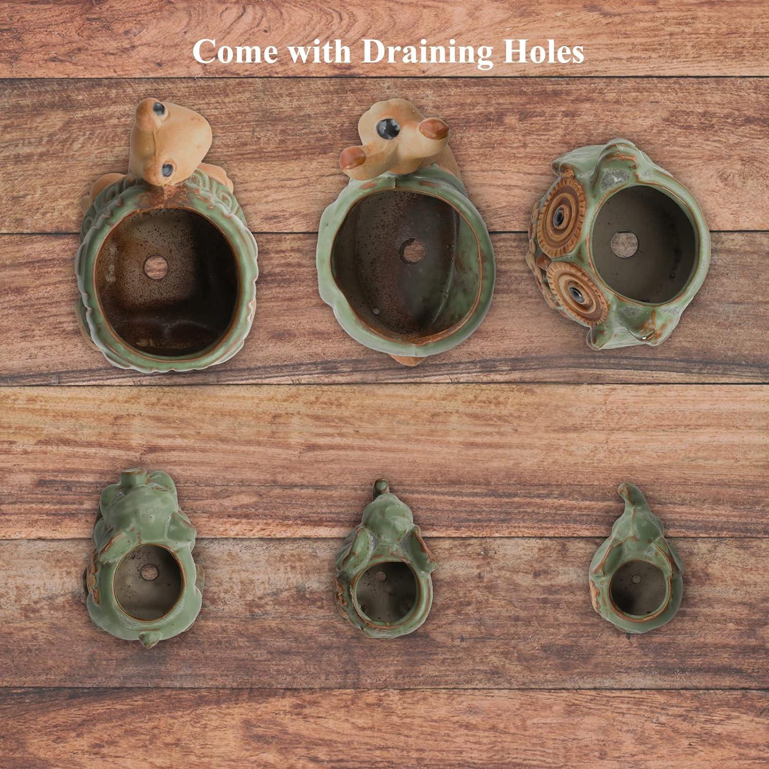 Conjunto de 6 Macetas Suculentas Cerámicas Okllen - Animales