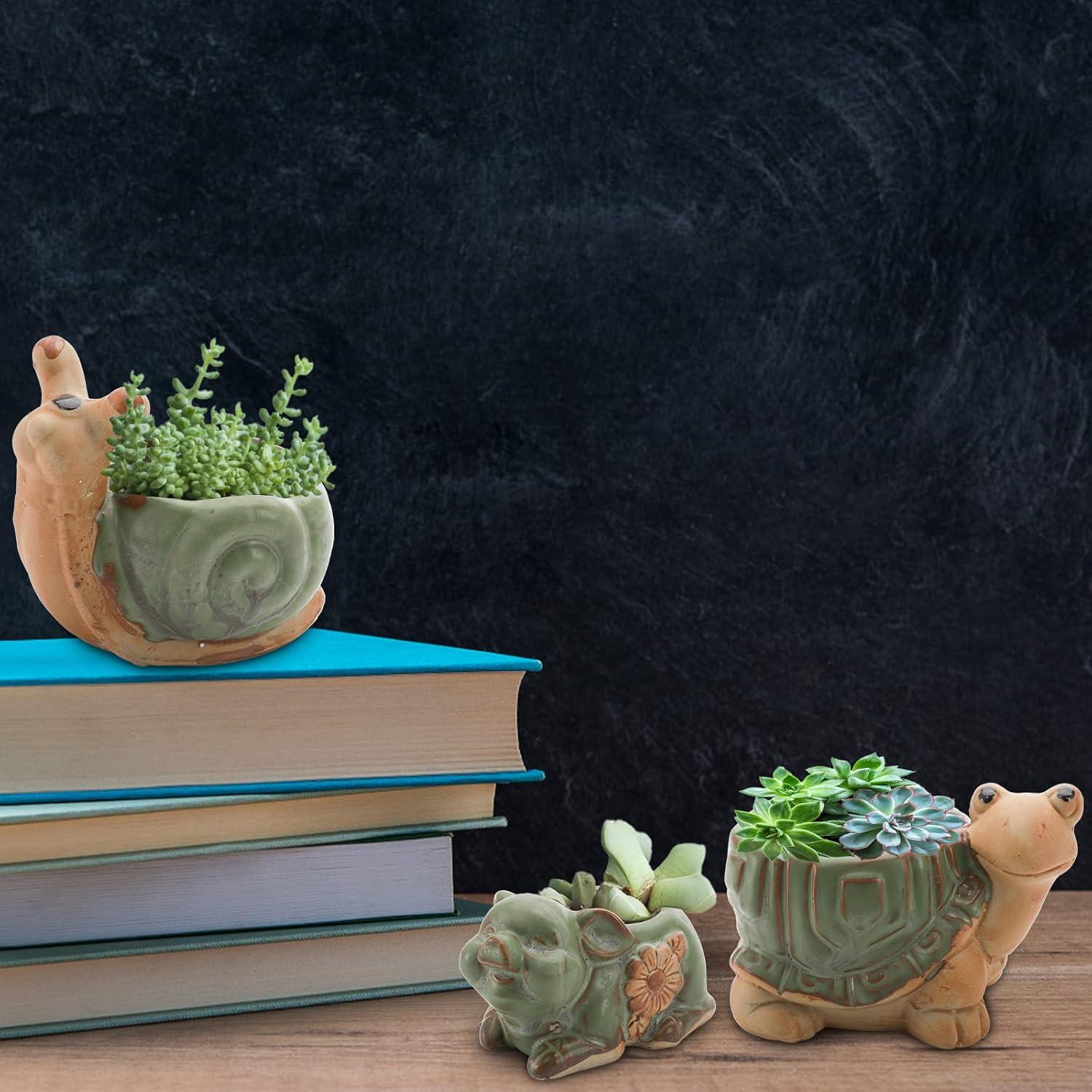 Conjunto de 6 Macetas Suculentas Cerámicas Okllen - Animales